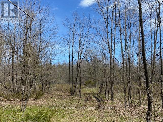 0 MORAN ROAD, rideau lakes, Ontario